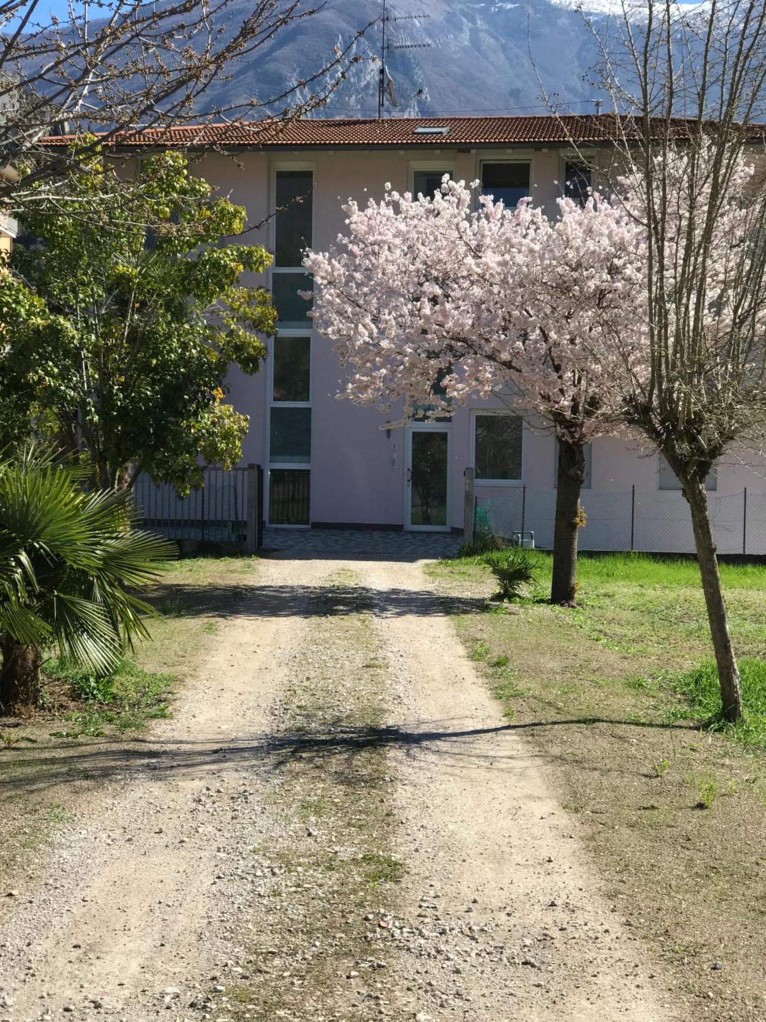 Appartamenti Laly Arco Zewnętrze zdjęcie